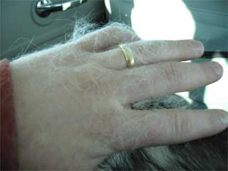 Fury Hand