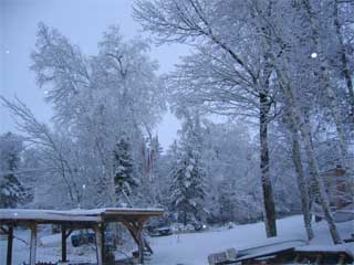New Year's Eve Snow