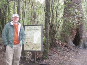 begin-rainforest-walk